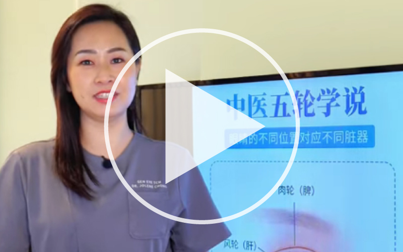 23rd December 2025: TCM Ophthalmology Video - Five Wheels Theory (五轮学说) English Version