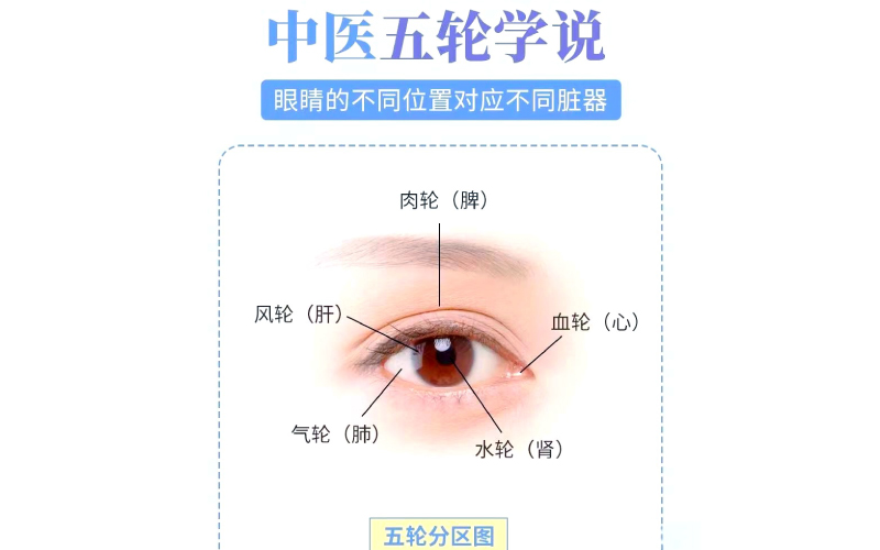 从“五轮”看眼健康  ——  谈何为中医眼科 Understanding Eye Health Through the “Five Wheels” Theory — What Is TCM Ophthalmology?